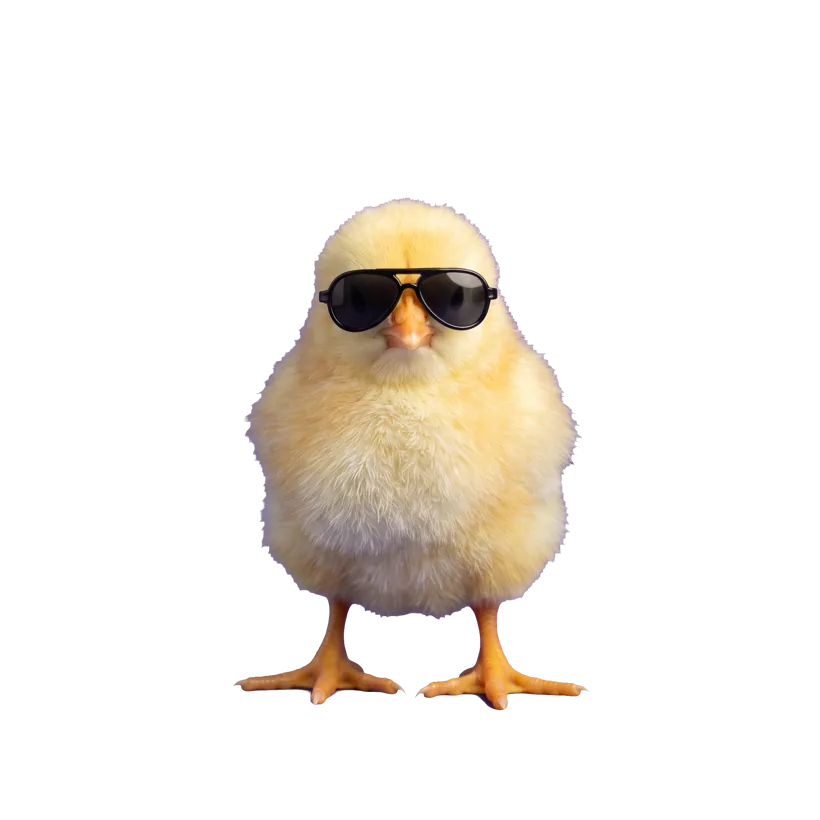 The Henway chick